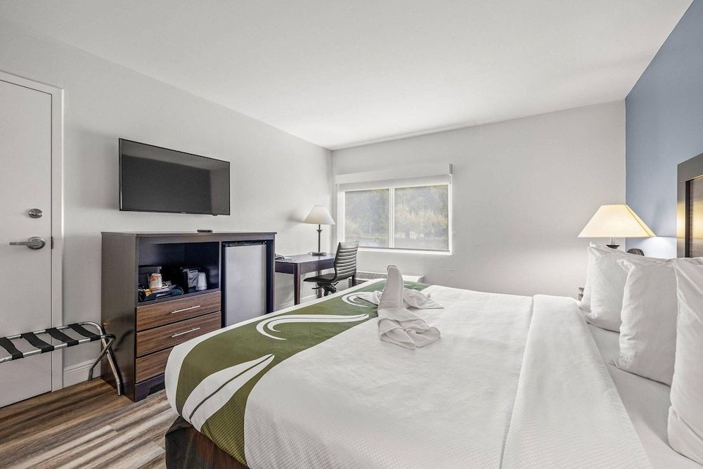 Standard Room, 1 King Bed, Non Smoking