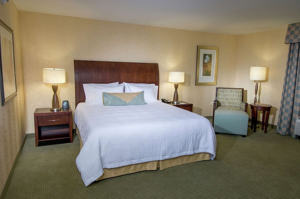 Room, 1 King Bed, Accessible (Roll-In Shower)