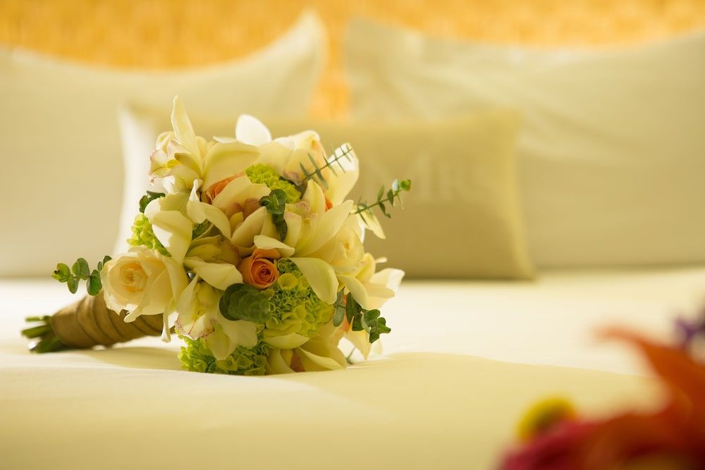 Movich Hotel Cartagena de Indias Premium Room 3