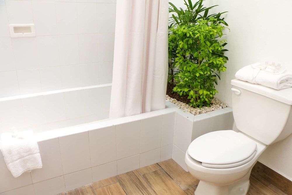 Best Western Riviera Tuxpan Suite, 2 Double Beds, Non Smoking 8