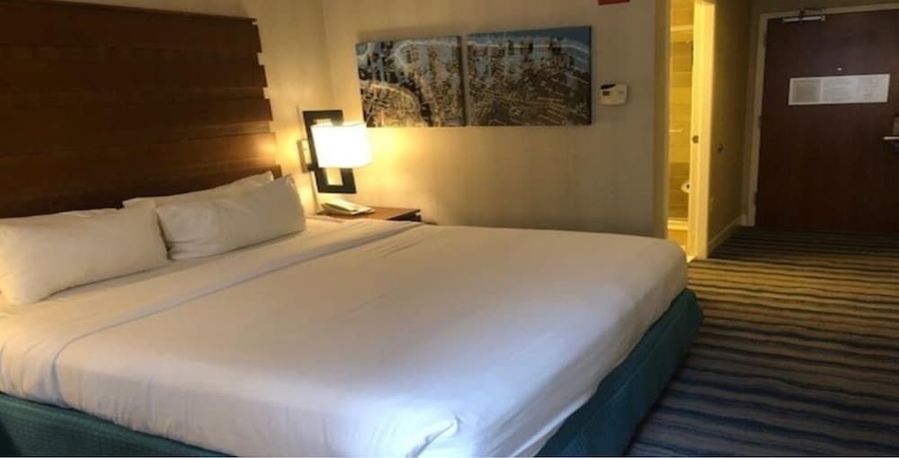 Room, 1 King Bed
