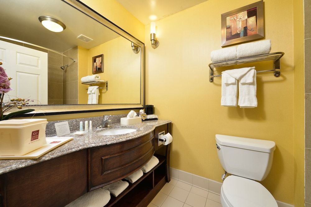 Suite, 1 King Bed with Sofa bed, Accessible, Non Smoking