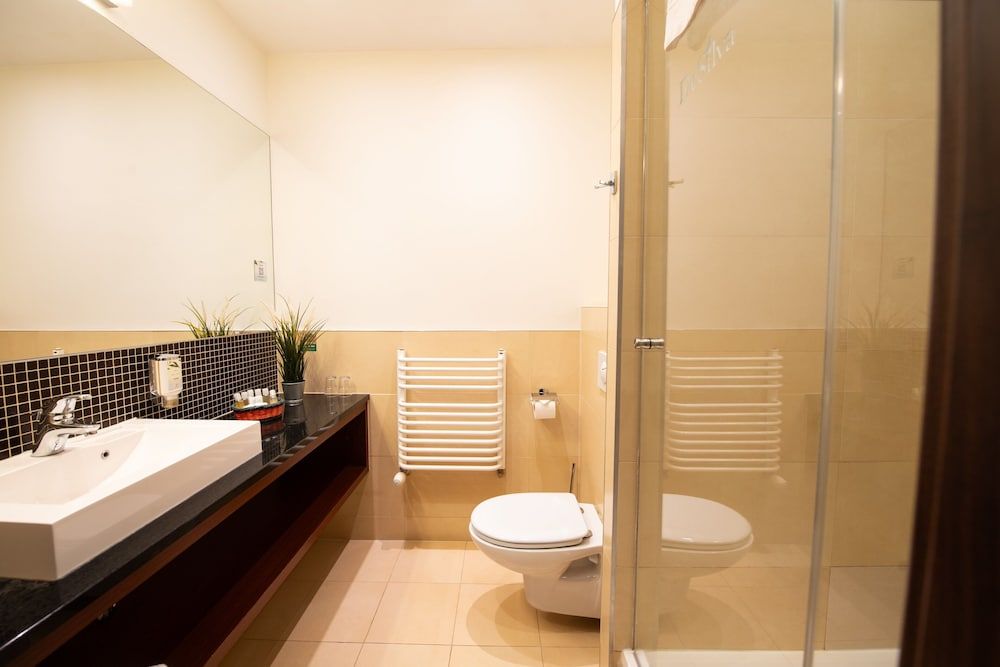 Hotel DeSilva Warszawa Piaseczno Twin Room (Single Use) 5