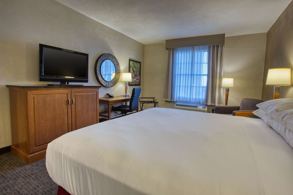 Deluxe Room, 1 King Bed, Refrigerator & Microwave