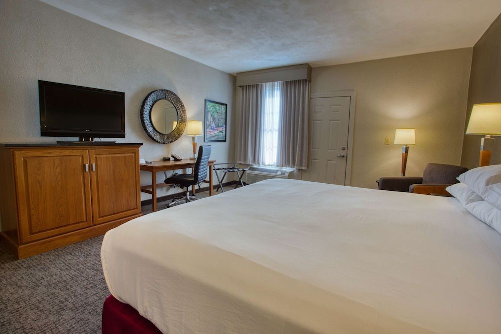 Deluxe Room, 1 King Bed, Accessible, Refrigerator & Microwave (Roll in Shower, Oversized Terrace)