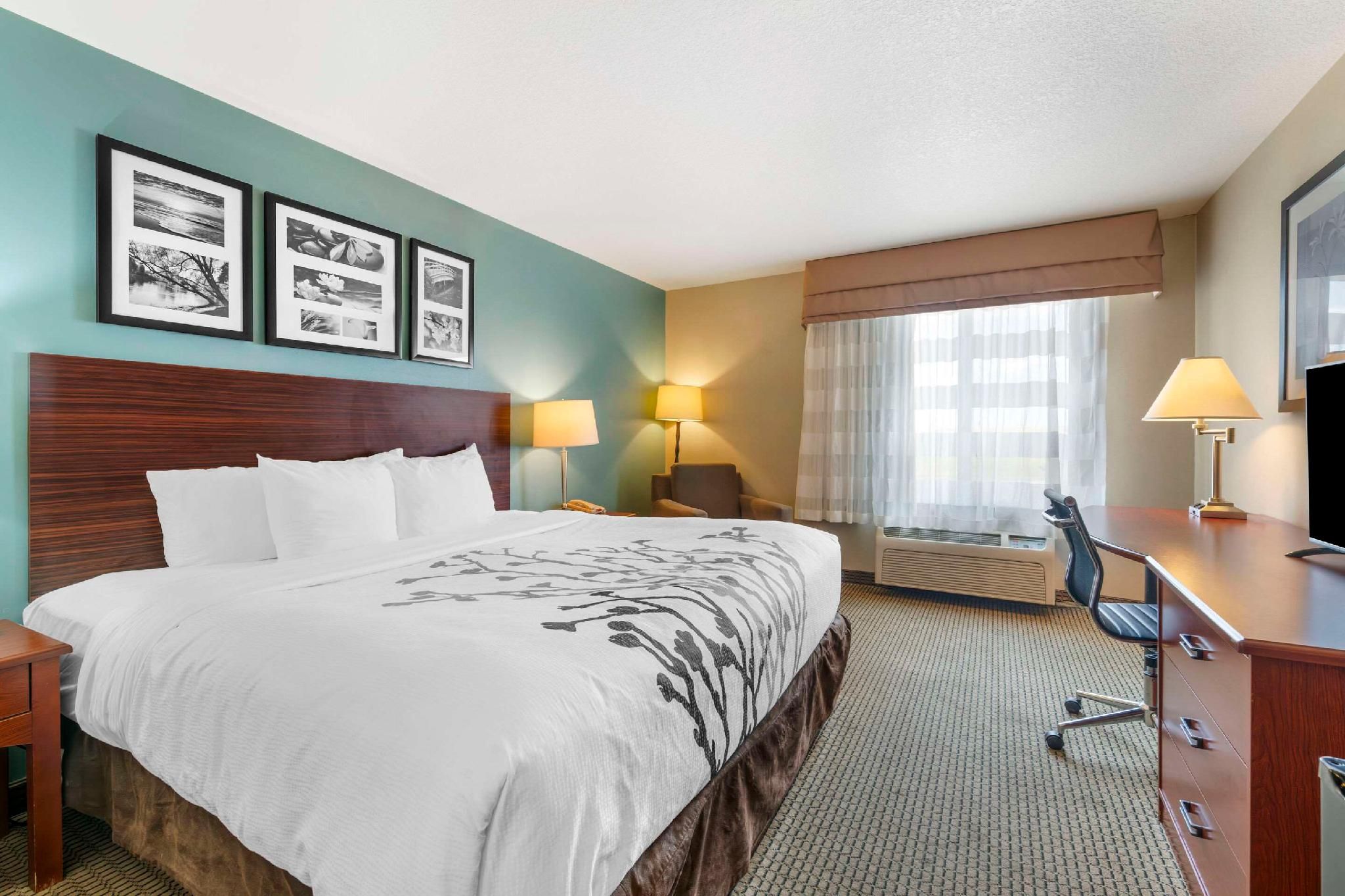 1 King Bed, Non-smoking