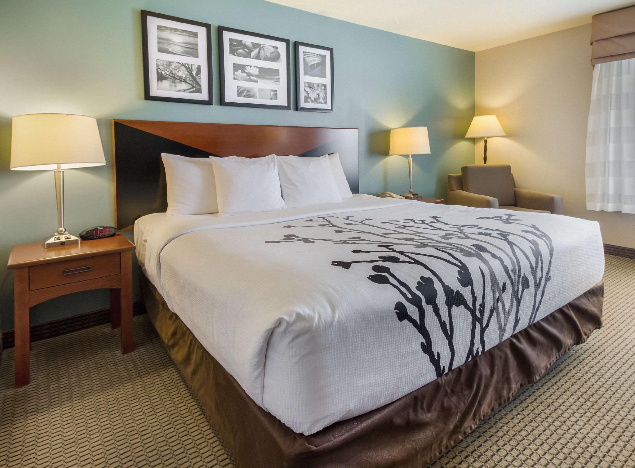 1 King Bed, Non-smoking