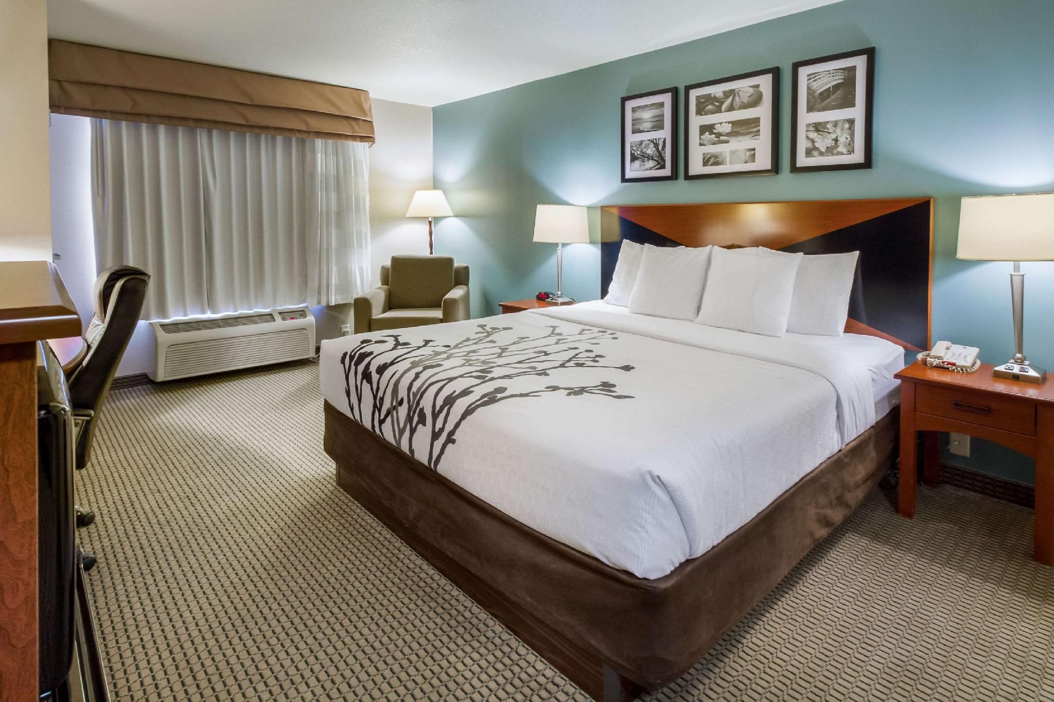 1 King Bed, Nonsmoking