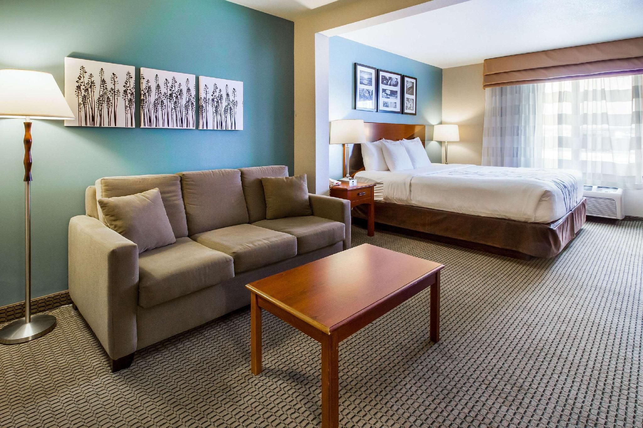 1 King Bed, Suite, Nonsmoking