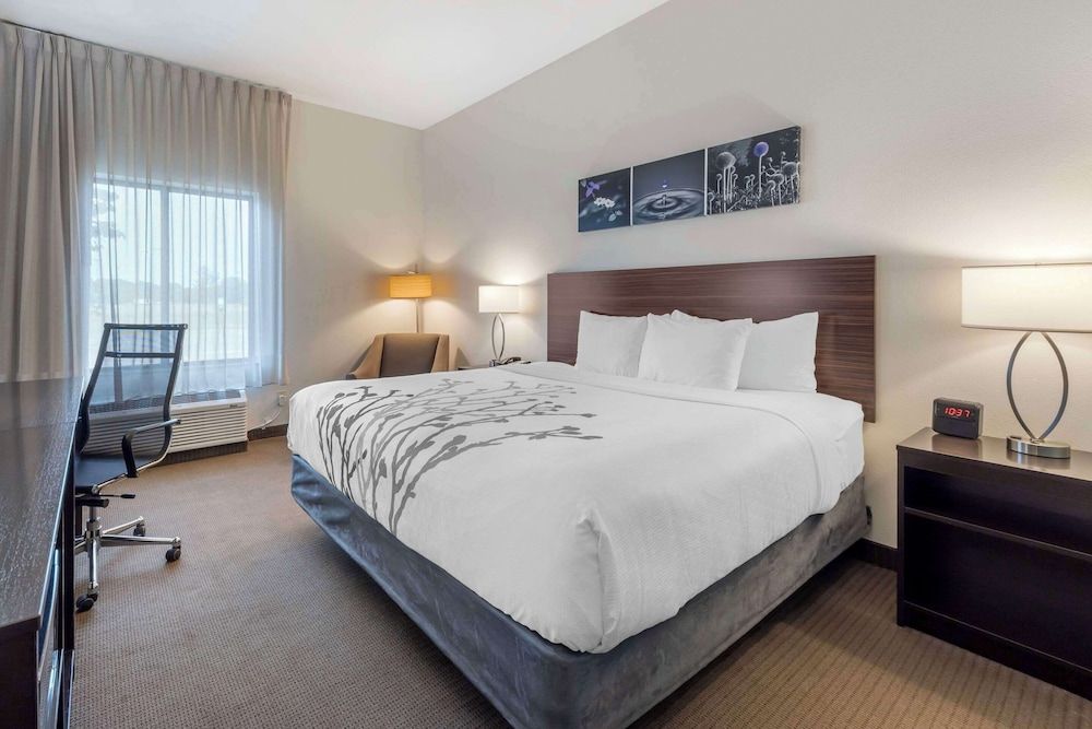 Standard Room, 1 King Bed, Non Smoking