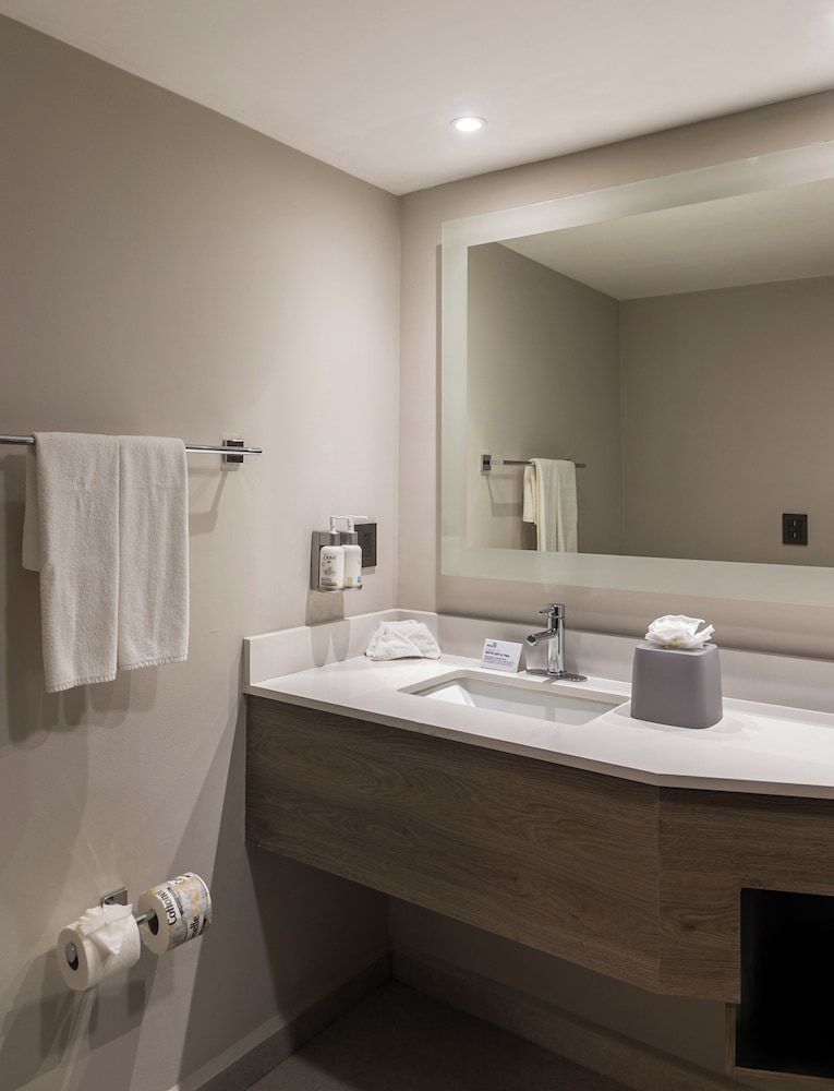 Suite, 1 King Bed