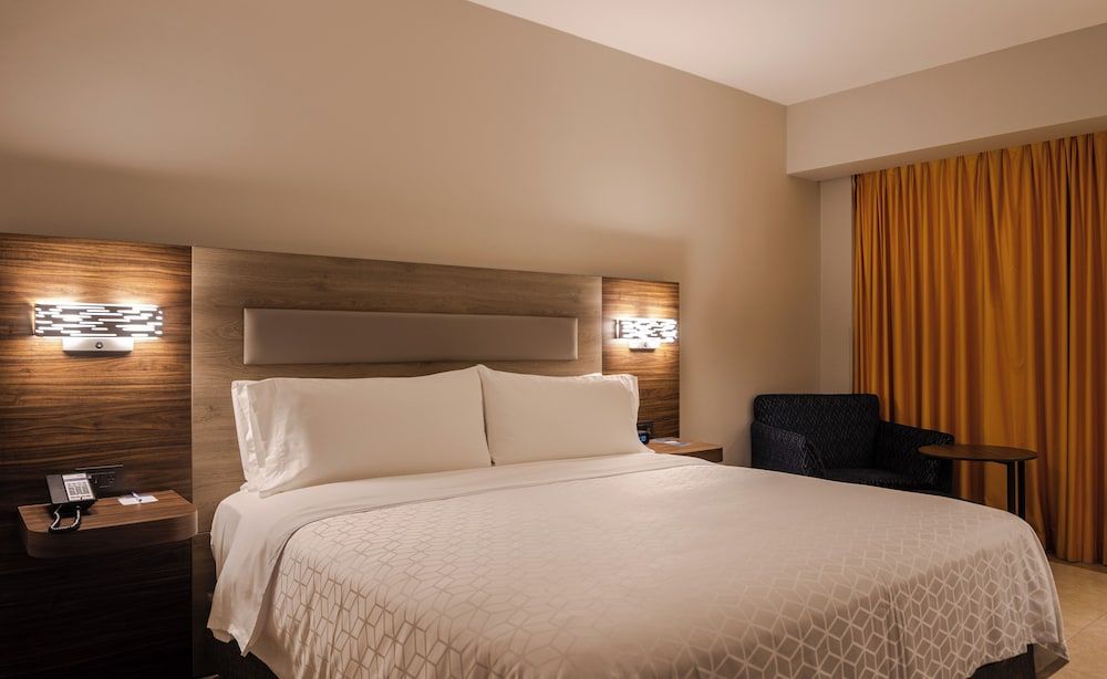 Suite, 1 King Bed