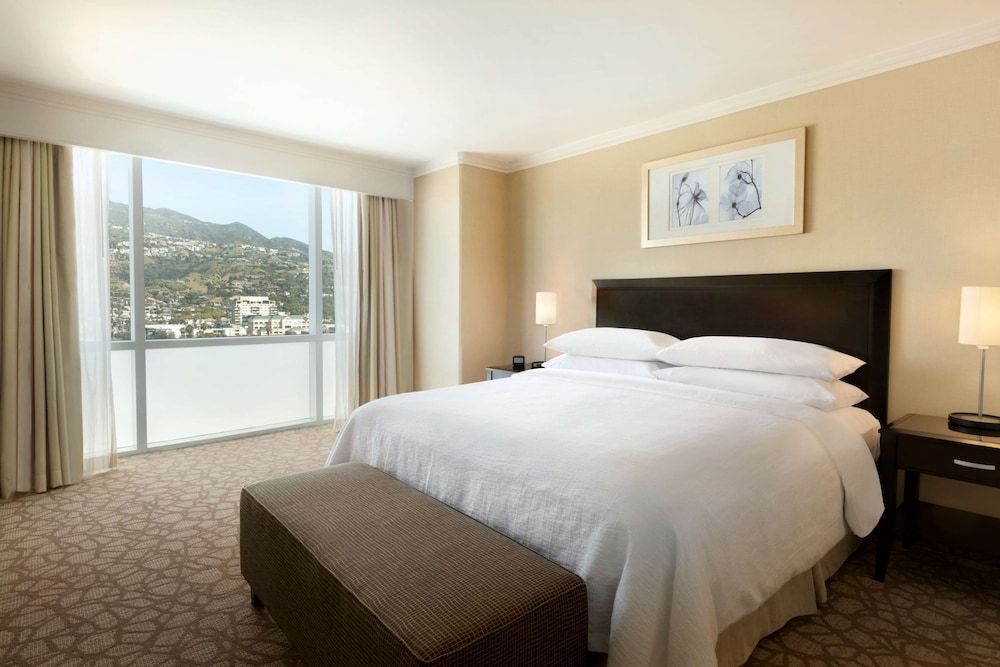 One King Bed, Mountain View, Non-Smoking