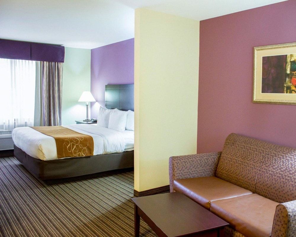 Suite, 1 King Bed with Sofa bed, Accessible, Non Smoking