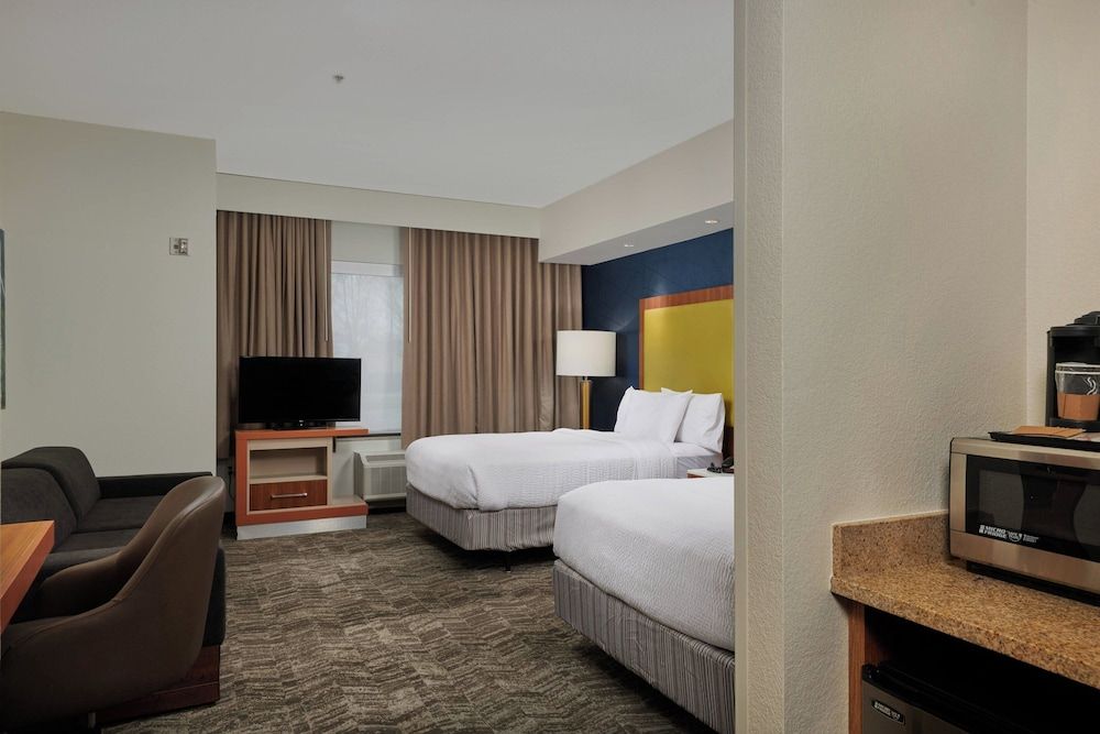 Suite, 1 King Bed with Sofa bed