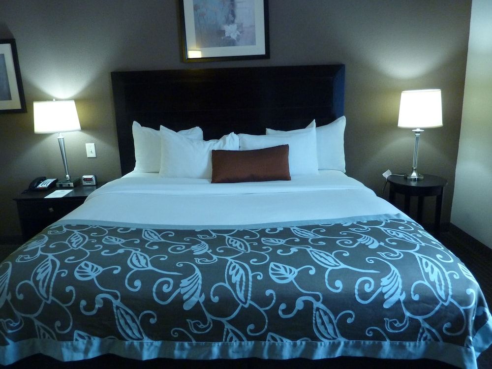 Standard Room, 1 King Bed