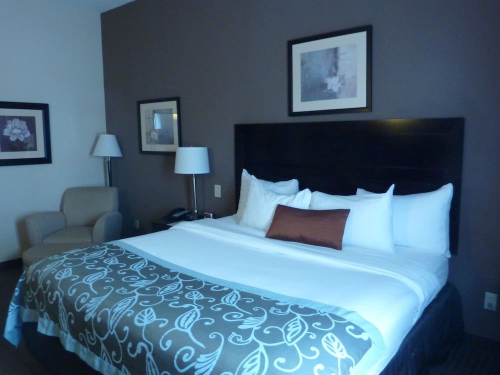 Standard Room, 1 King Bed