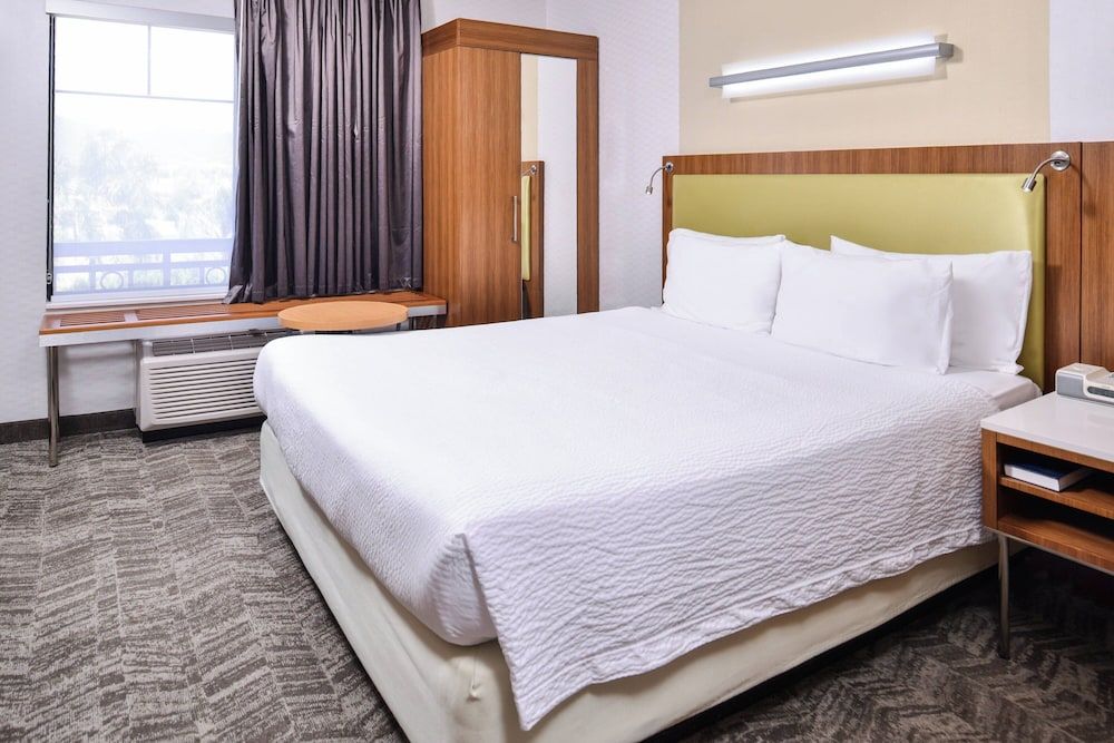 Studio, 1 King Bed with Sofa bed (Mobility/Hearing Access, Roll-In Shwr)