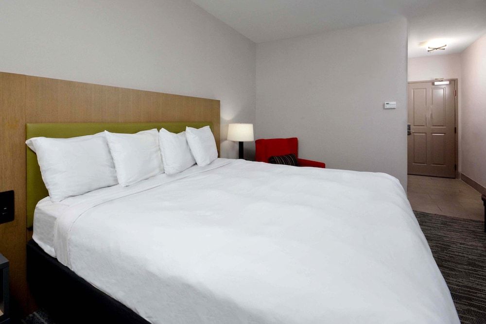 Basic Room, 1 King Bed, Non Smoking (Roll-in Shower)
