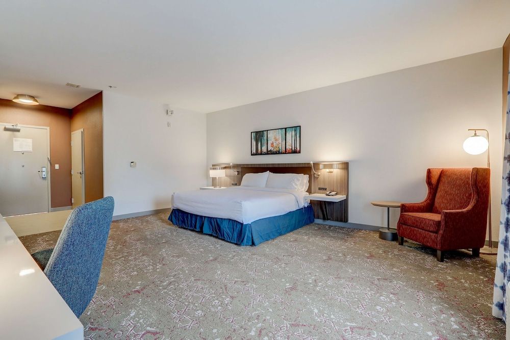 Room, 1 King Bed, Accessible (Roll In Shower)