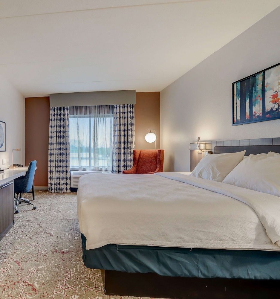 Room, 1 King Bed