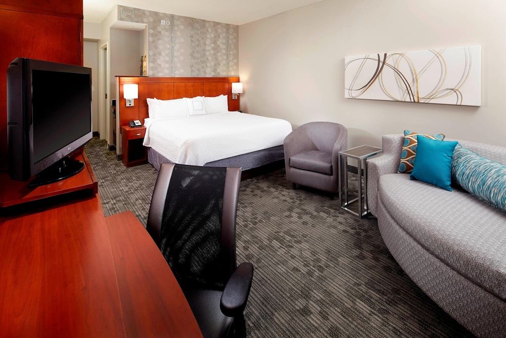 Room, 1 King Bed with Sofa bed