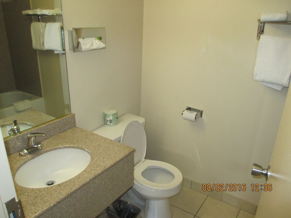 Regal Inn - Chicago O'Hare Airport Deluxe Room, 1 King Bed 2