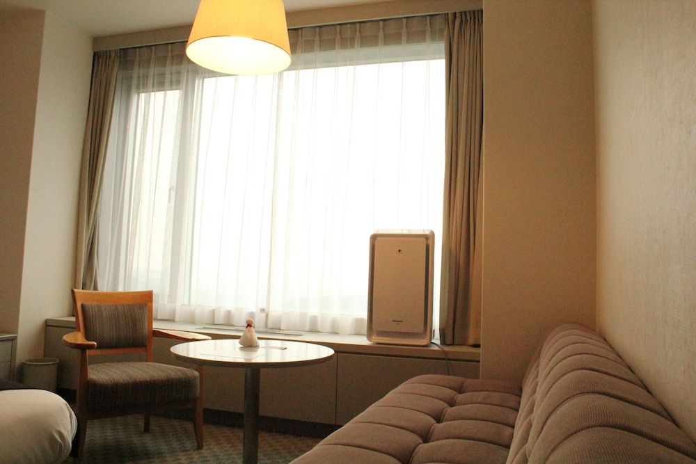 Shin Furano Prince Hotel Deluxe Twin Room, Smoking (with Tokachi Mountain View) 4