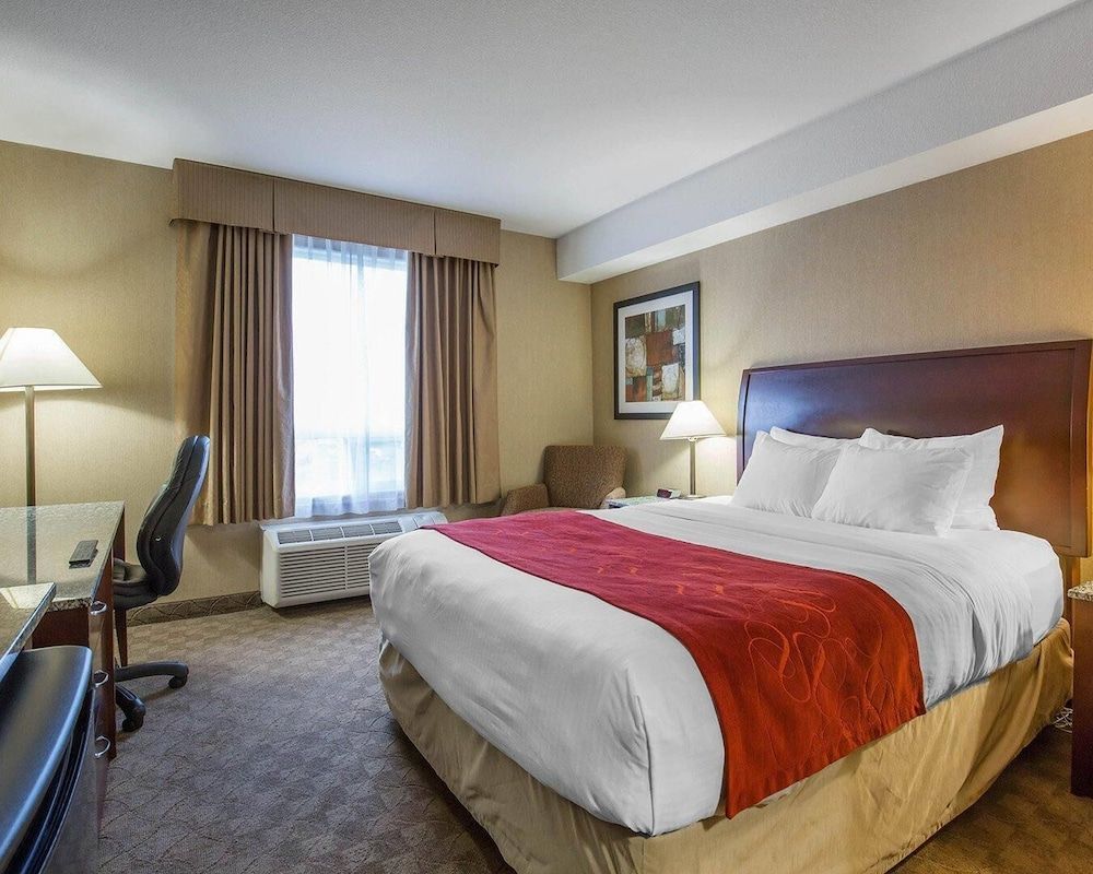 Standard Room, 1 Queen Bed, Non Smoking