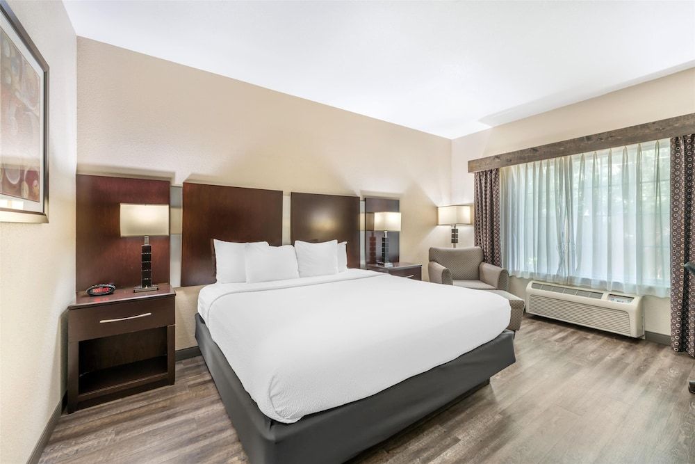 Standard Room, 1 King Bed, Accessible, Non Smoking