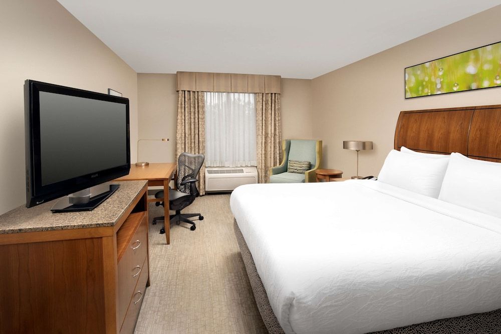 Room, 1 King Bed