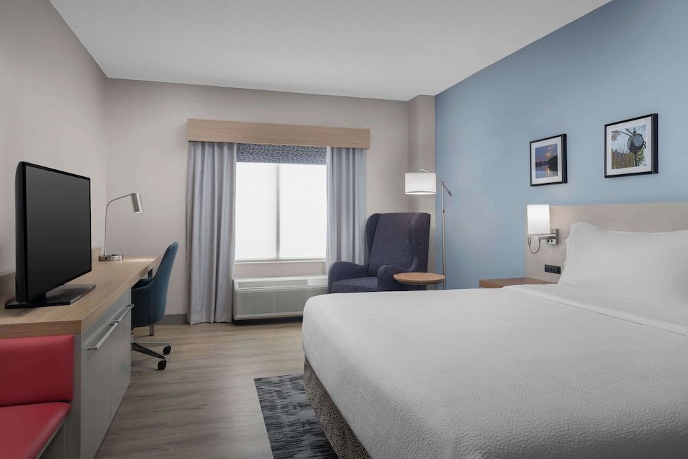 Room, 1 King Bed with Sofa bed