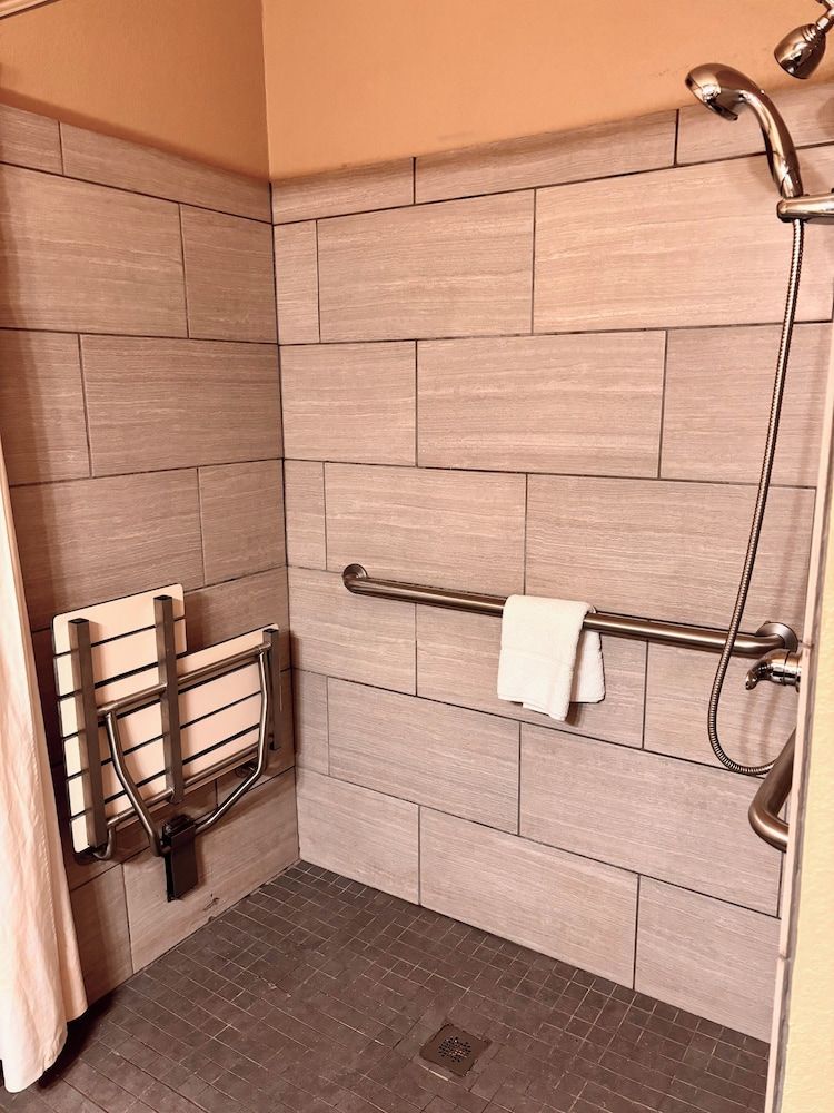 Room, 1 King Bed, Accessible, Non Smoking (Roll-in Shower)