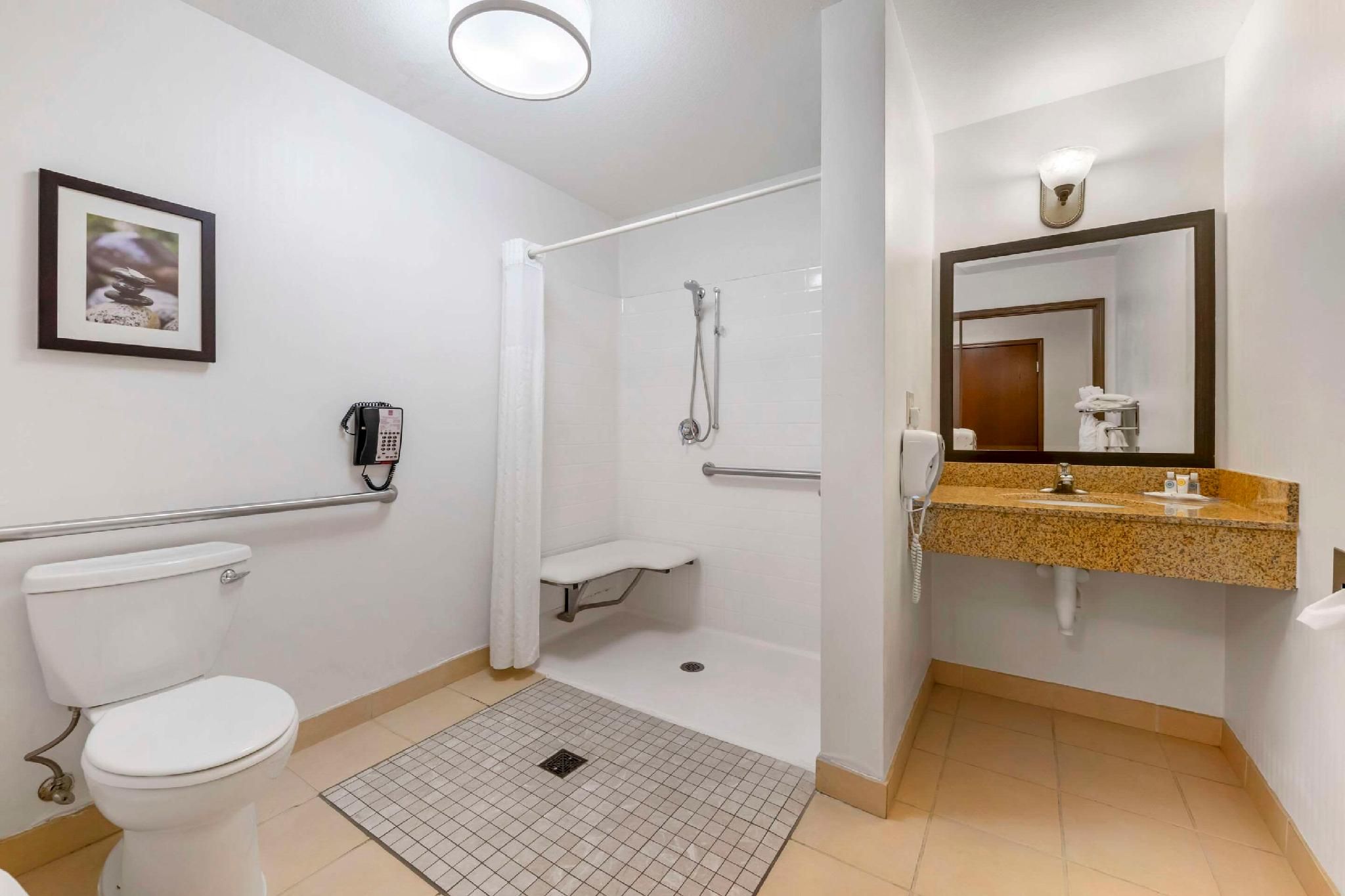 1 King Bed, Business Room, Suite, Nonsmoking, Accessible