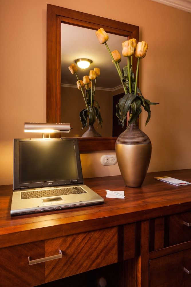 Fenix Hotel Standard Single Room 6