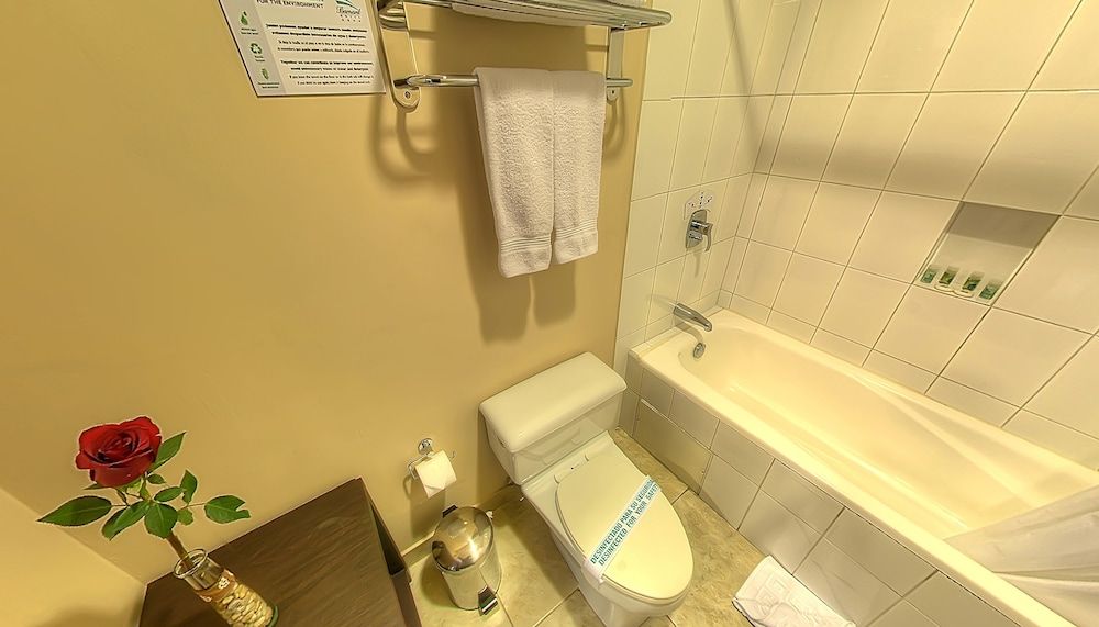 Fenix Hotel Standard Double or Twin Room 7