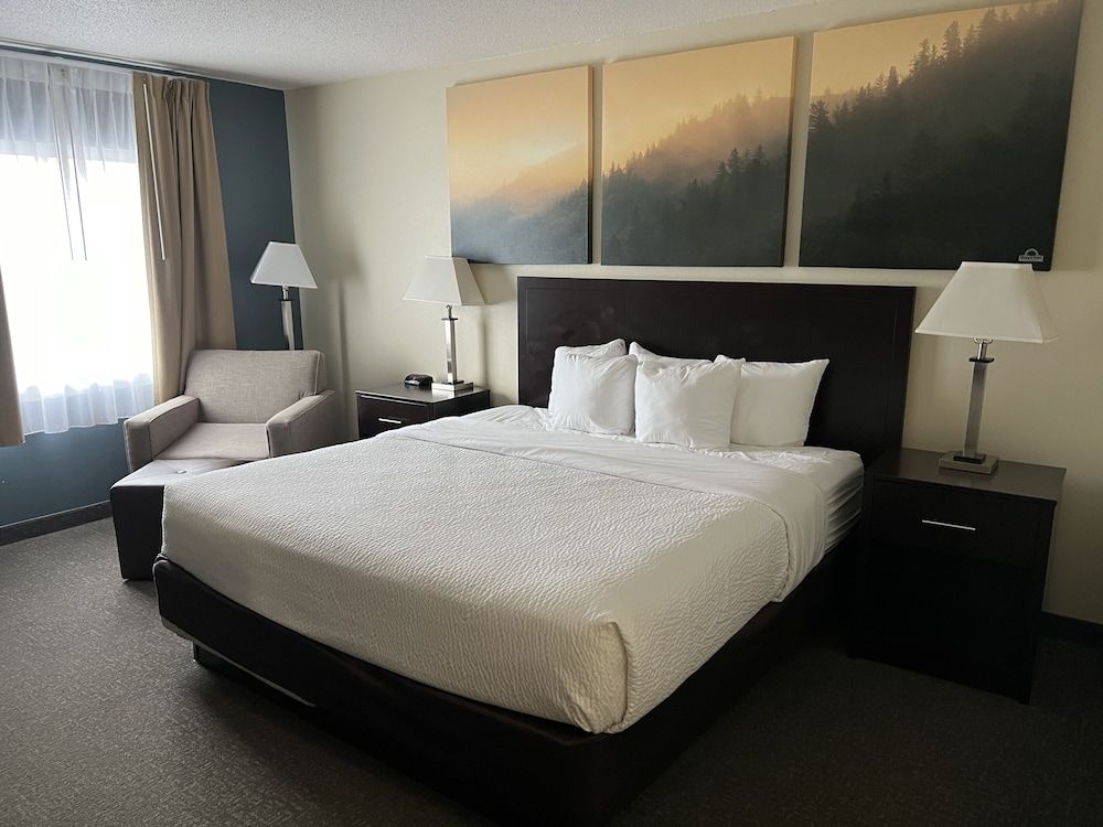Room, 1 King Bed, Accessible, Non Smoking (Bathtub w/ Grab Bars)