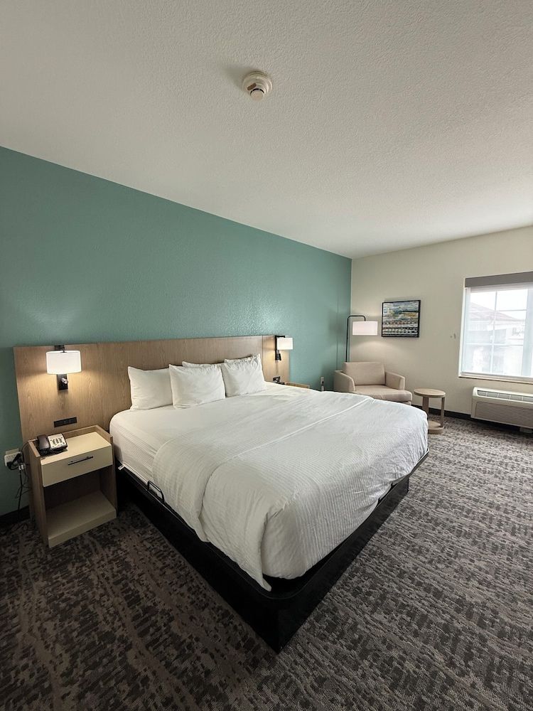 Room, 1 King Bed, Non Smoking