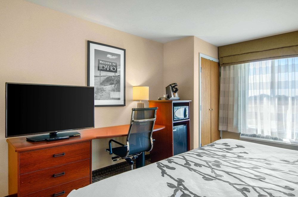 Room, 1 King Bed, Non Smoking