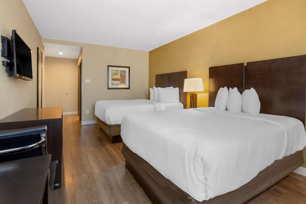 undefined Best Western Plus Plaza Hotel 10