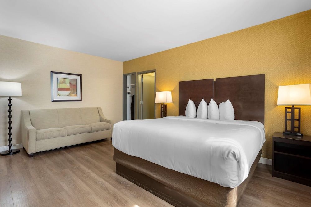 undefined Best Western Plus Plaza Hotel