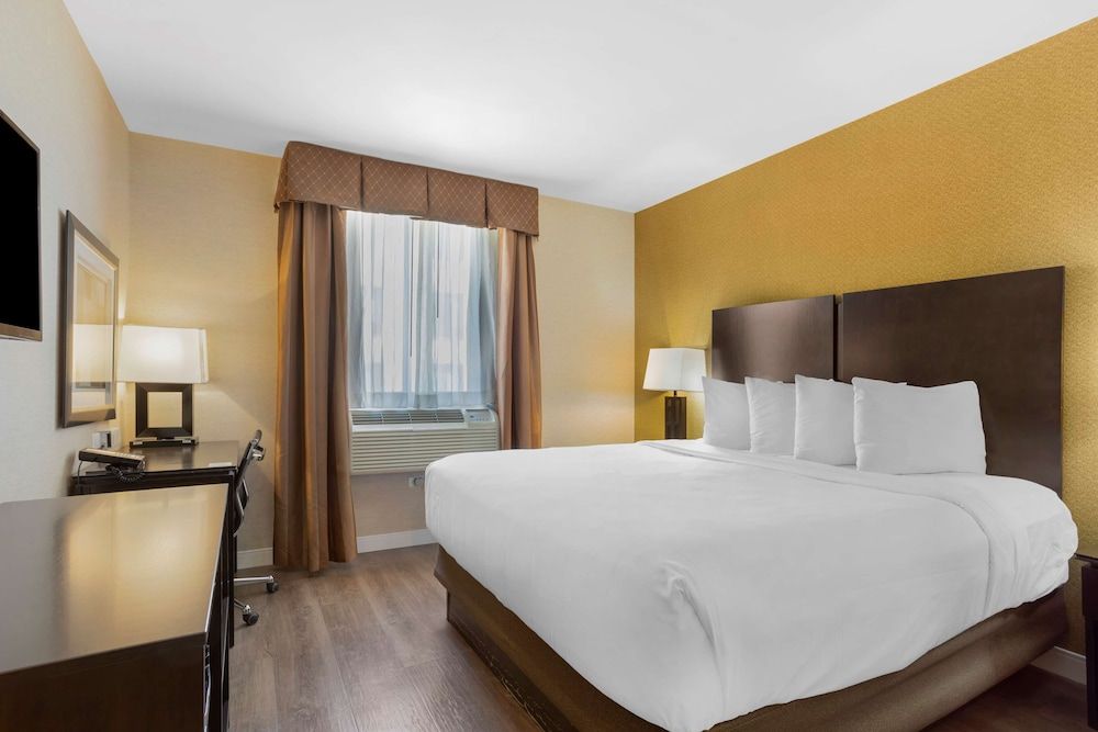 undefined Best Western Plus Plaza Hotel 3