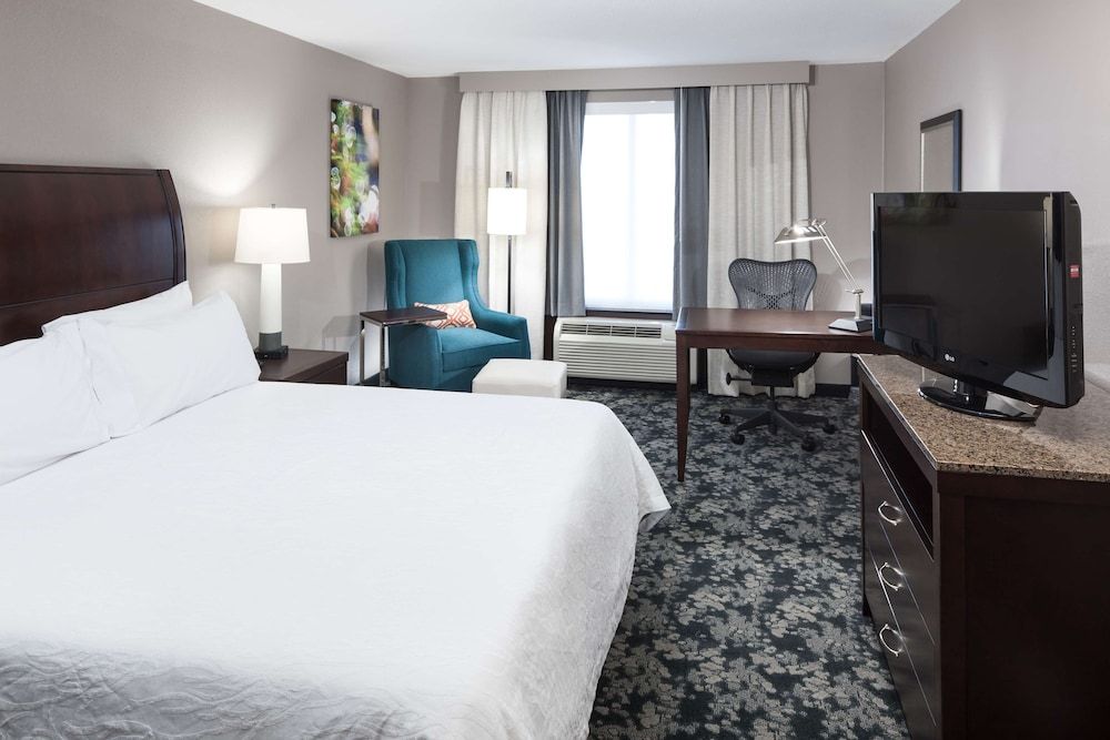 Room, 1 King Bed