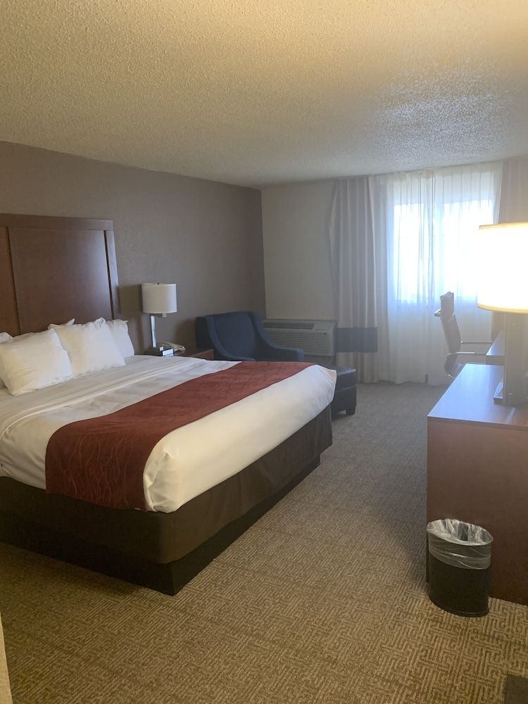 Room, 1 King Bed, Non Smoking