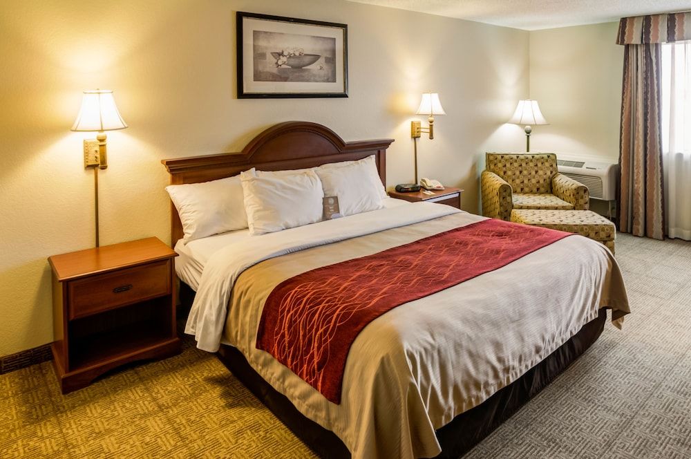 Room, 1 King Bed, Non Smoking