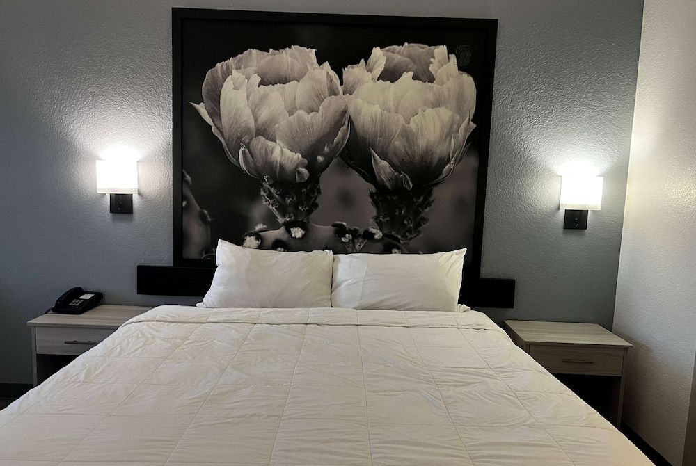 Room, 1 King Bed, Accessible, Non Smoking (Mobility,Roll-In Shower)