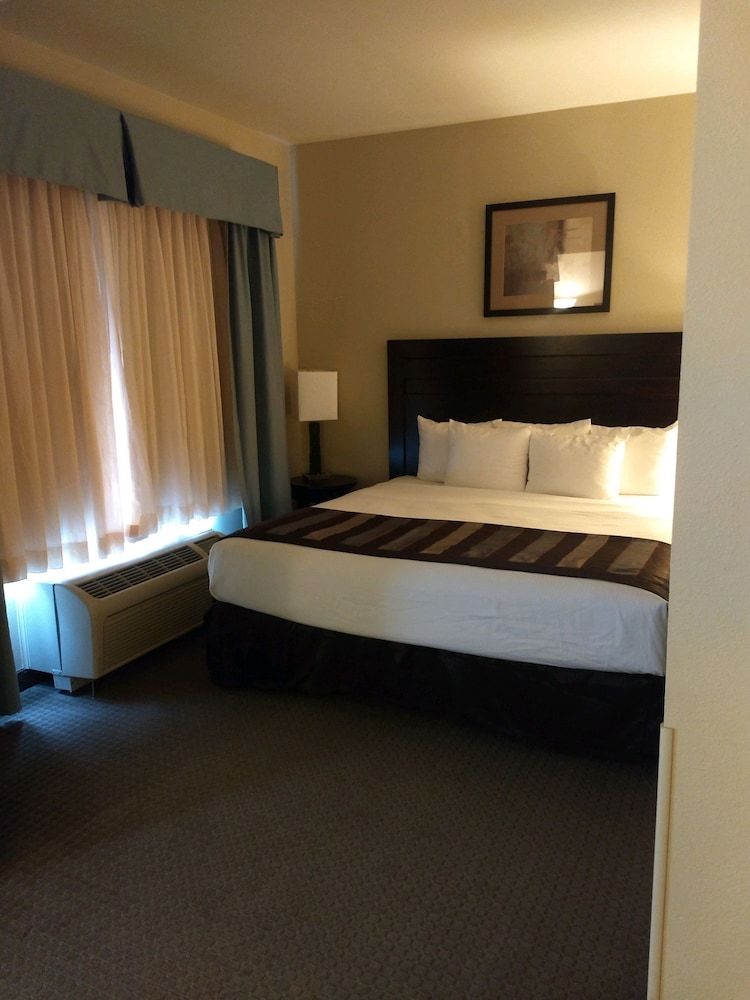 Room, 1 King Bed, Accessible, Non Smoking