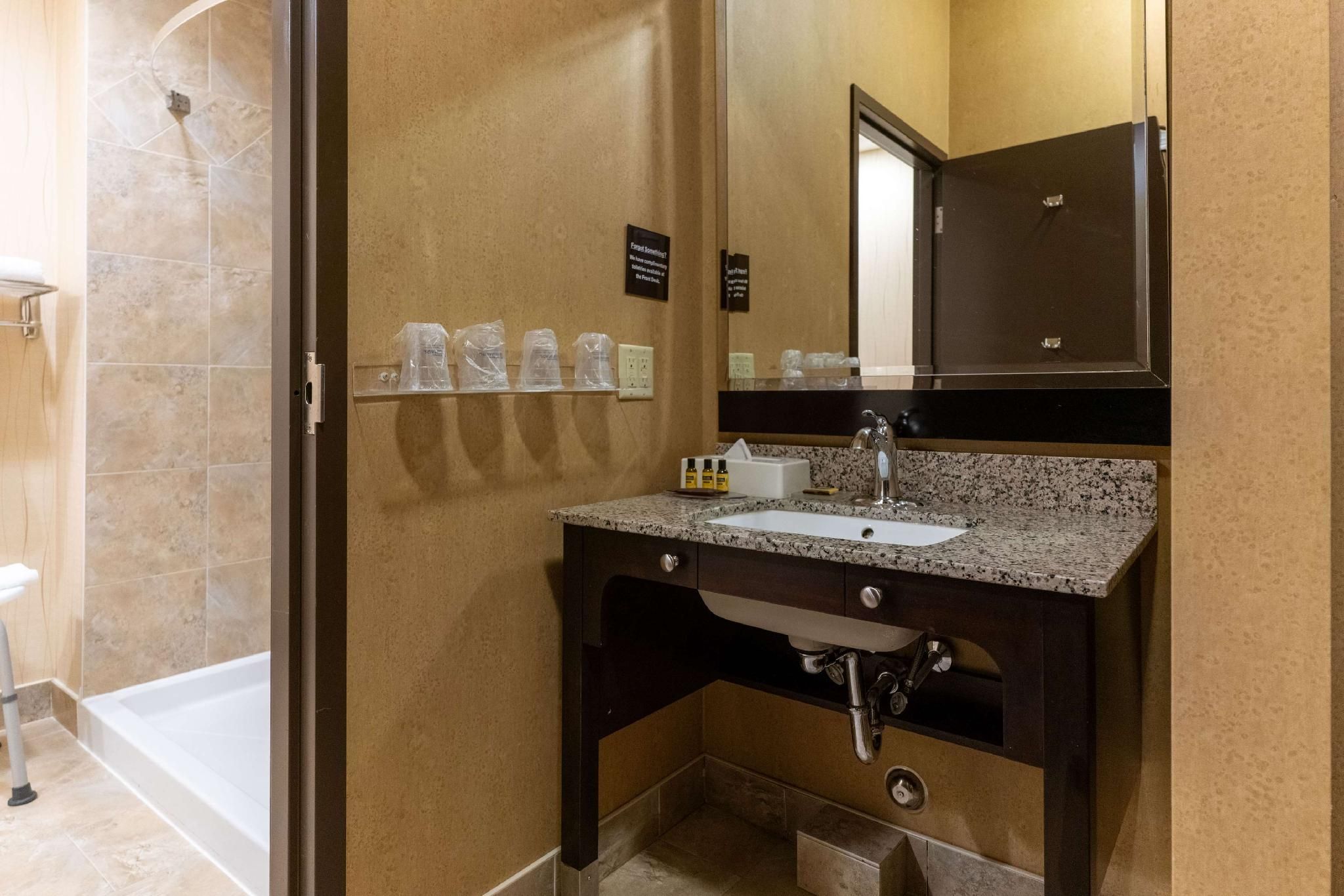 Accessibility - 1 King, Walk-in Shower, Nonsmoking