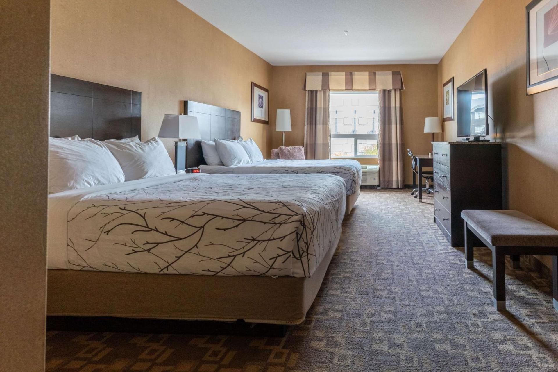 2 queen beds, nonsmoking