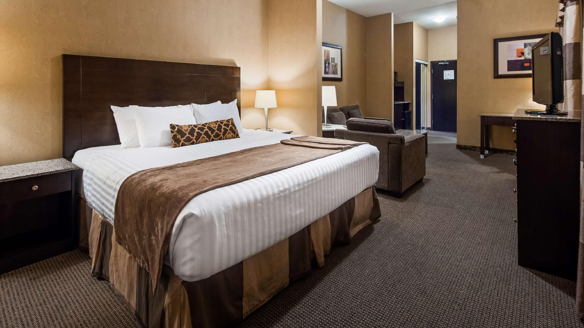 Suite - 1 King Bed, Nonsmoking, Executive Room, Sofabed